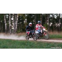 Мотоцикл IRBIS TTR 110