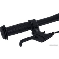 Детский велосипед Maxiscoo S007 Стандарт 2024 (розовый)