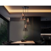 Подвесная люстра Ambrella light Traditional TR8435/3 BK/FGD (черный/золото)