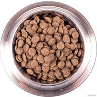 Сухой корм для собак Monge All Breeds Adult Monoprotein Lamb with Rice and Potatoes (для взрослых с ягненком, рисом и картофелем) 12 кг