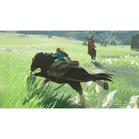  The Legend of Zelda: Breath of the Wild для Nintendo Switch