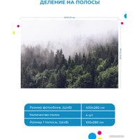 Фотообои ФабрикаФресок Туманный лес 194280 (400x280)