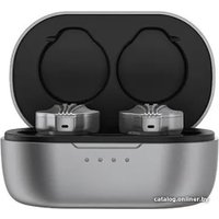 Наушники FiiO FW3 (серебристый)