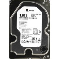 Жесткий диск HGST Ultrastar 7K2 1TB [HUS722T1TALA604] в Мозыре