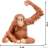 Набор фигурок Masai Mara Мир диких животных MM201-005