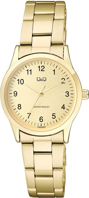 

Наручные часы Q&Q Standard C09AJ009