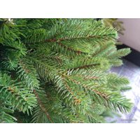 Ель GreenTerra Аляска Слим 1.8 м