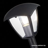 Садовый светильник ST Luce SL081.405.01