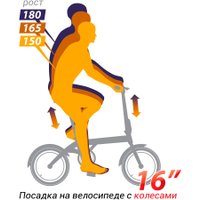 Велосипед Shulz Hopper 2025 (фиалковый)