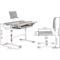 Парта Anatomica Avgusta + стул + выдвижной ящик + подставка (клен/серый)