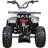 Квадроцикл Yacota Raposa 110 куб.см. (белый)