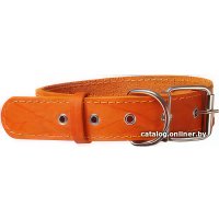 Ошейник Humpo Чип 17 мм 114017 (ассорти)