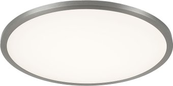 Светильник Citilux Омега CLD50R221 (хром)