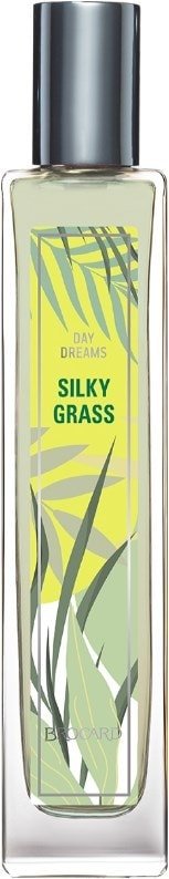 

Туалетная вода Brocard Silky Grass EdT (55 мл)