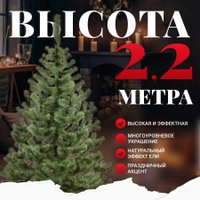 Пихта Erbis Jodla 220