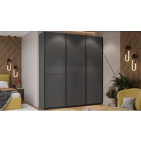 Шкаф-купе Трия Оскар Хилтон Т2 2100 271127 (ручка черная/серый графит/графит матовый)