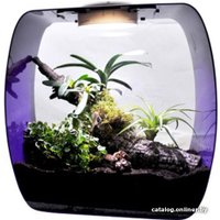 Террариум Lucky Reptile Life Box LB-35P (фиолетовый)