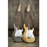 Электрогитара Cort G250 SVM