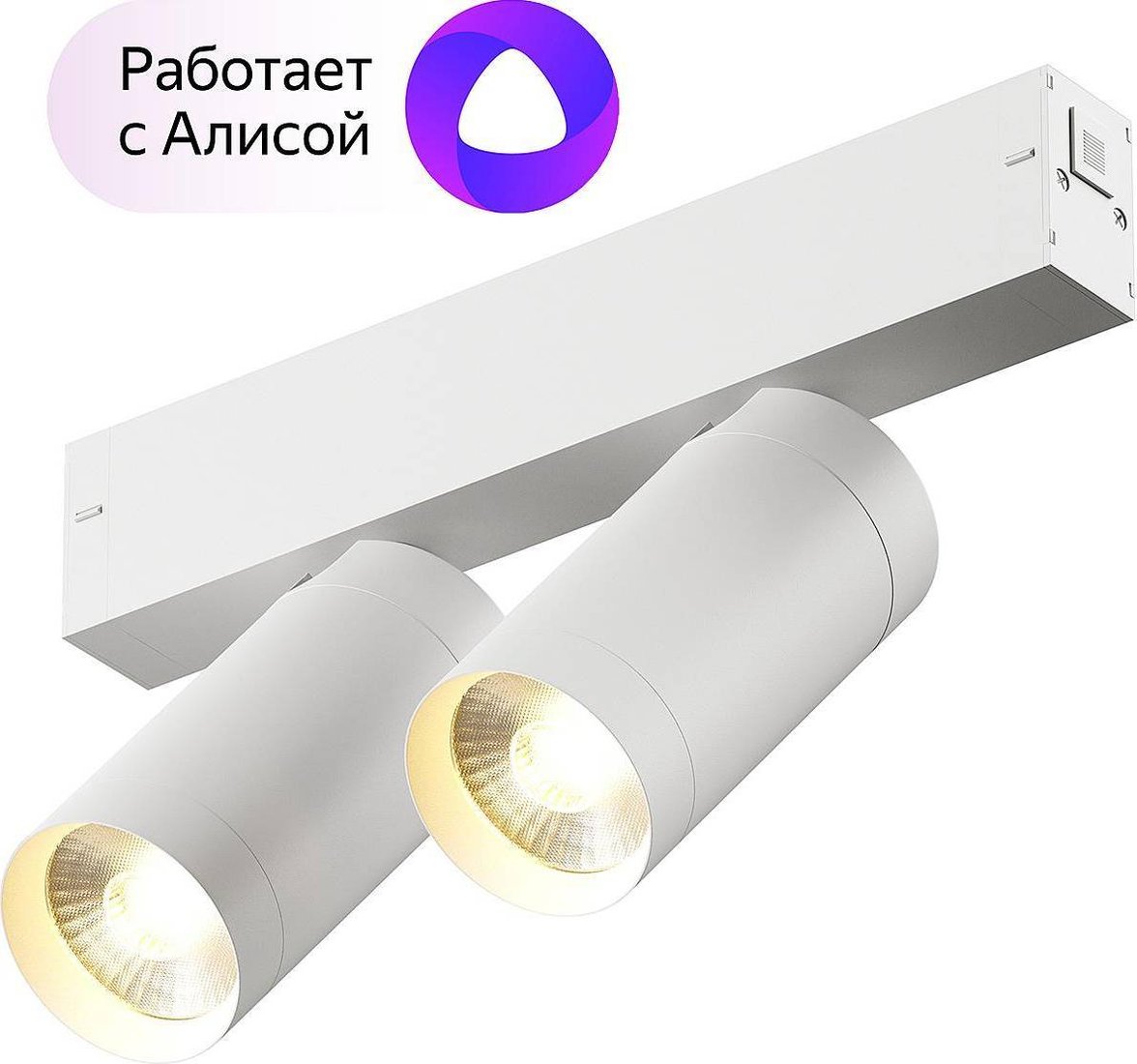 

Трековый светильник Denkirs Smart DK8012-WH