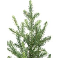 Ель Winter Time EB08-3423T 2.45 м