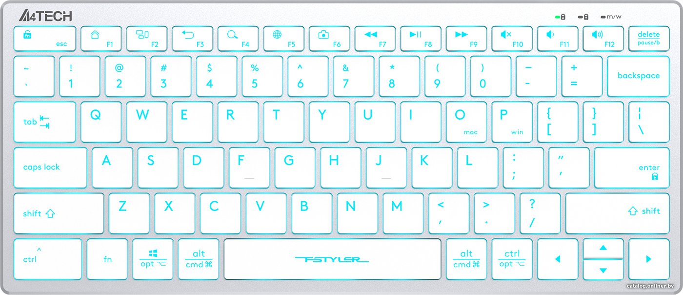 Клавиатура A4Tech Fstyler FX61 (серебристый/белый)