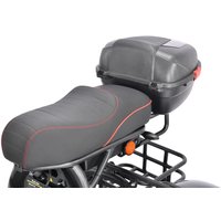 Электроскутер White Siberia CityCoco WS-Pro Trike 3000W 21Ah (с черными брызговиками)