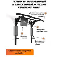 Турник Absolute Champion Центрл Спорт PRO АЧ 11644 (черный/черные ручки и пластина)