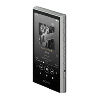 Hi-Fi плеер Sony Walkman NW-A306 (серый)