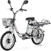 Электровелосипед E-NOT Express Big 6012 K2