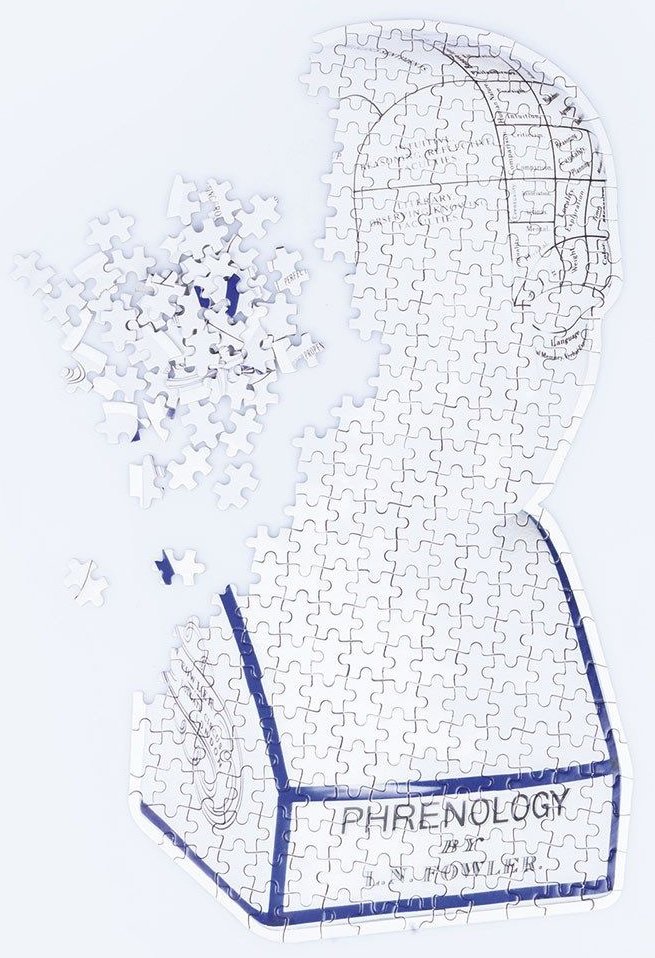 

Пазл Doiy Phrenology