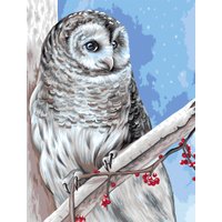 Картина по номерам Три совы Белая сова КХ3040_53849