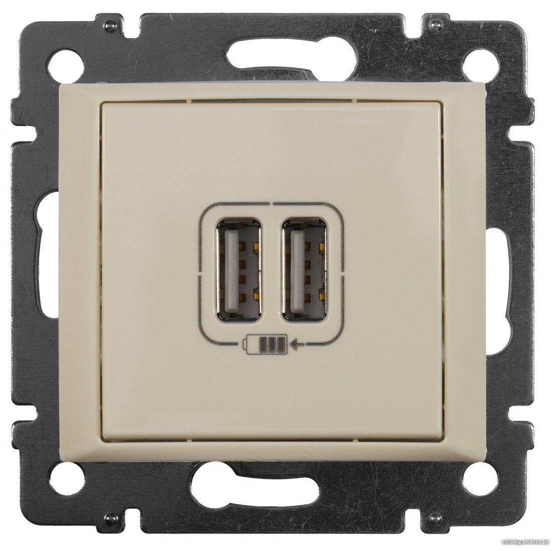 Розетка USB Legrand Valena 694372 (слоновая кость)