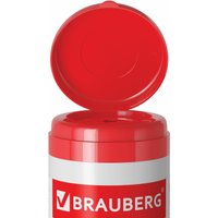 Влажные салфетки BRAUBERG 510122 (100 шт)