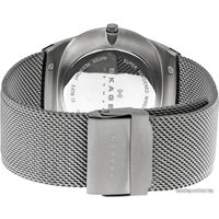 Наручные часы Skagen SKW6007