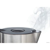 Электрический чайник Bosch TWK8619P