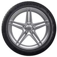 Зимние шины Triangle TW401 205/55R19 97V