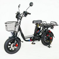 Электровелосипед Smart Balance Master 2025