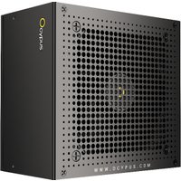 Блок питания Ocypus Iota P1000 Iota-P1000-G1FFBK024X-EU в Борисове