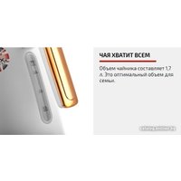 Электрический чайник Brayer BR1055