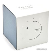 Наручные часы Skagen SKW6487