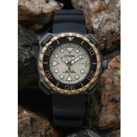 Наручные часы Citizen Promaster BN0226-10P