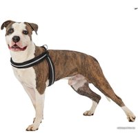 Шлея Ferplast Agila Reflex 8 76039817 (черный)