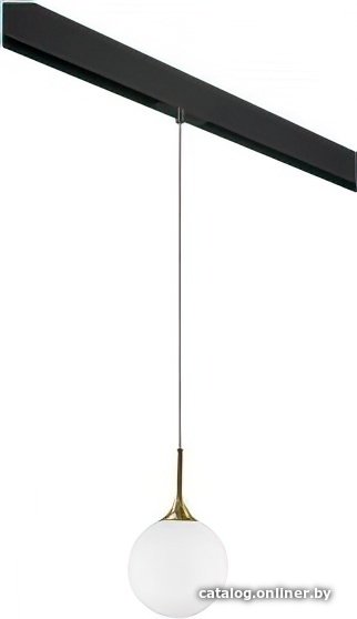 Подвесная люстра Lightstar Globo PRO813022