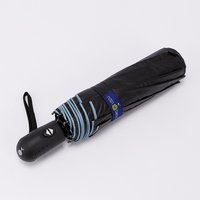 Зонт Rain Berry 734-23335.1 (черный/голубой)