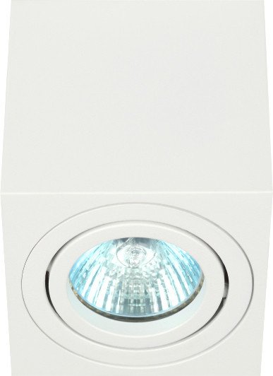 

Спот ЭРА OL22 WH Б0054394