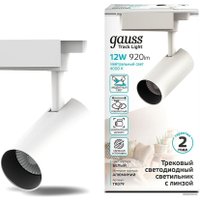 Трековый светильник Gauss TR079