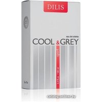 Туалетная вода Dilis Parfum Cool&Grey Sport EdT 100 мл