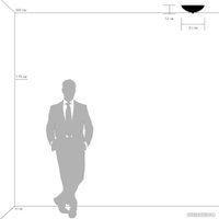 Припотолочная люстра Lightstar 820234