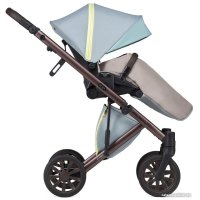 Универсальная коляска Anex E/type Special edition (2 в 1, Victor Wilson ET-SE02)