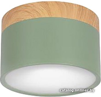 Точечный светильник LOFT IT Grape 10162 (зеленый)